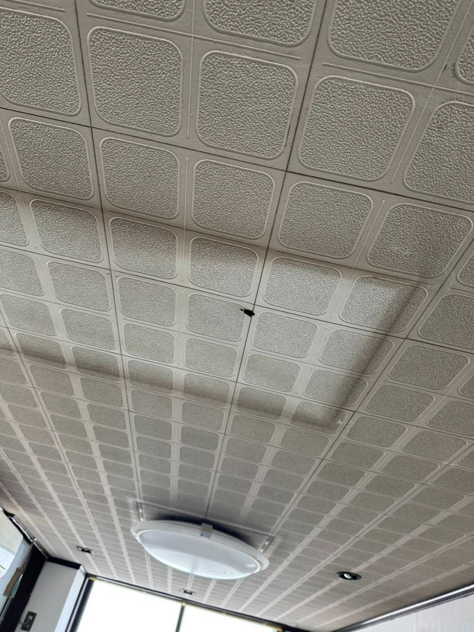 現場調査2025年2回目🏃