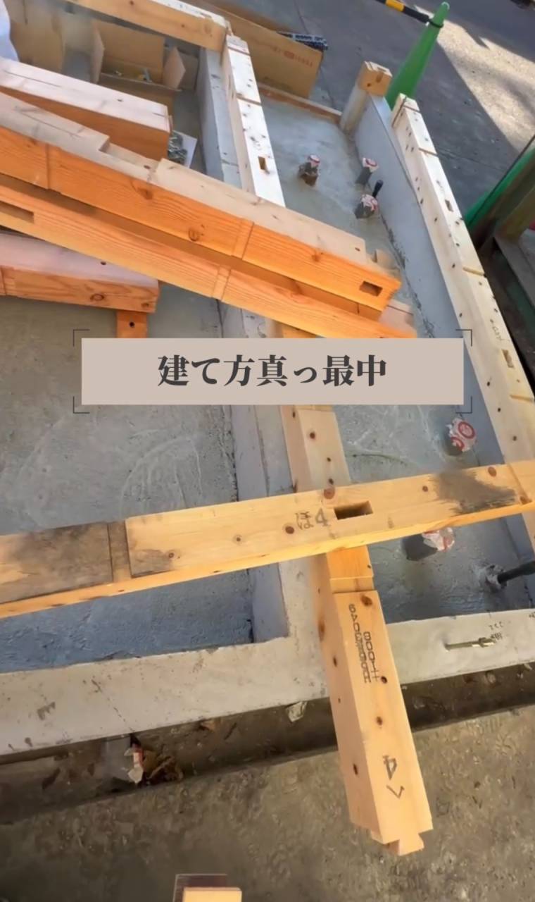 熱中症に気をつけます！#shorts 