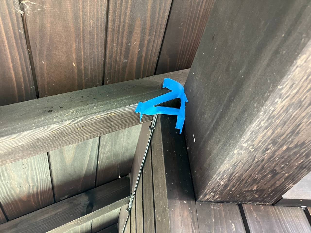 コウモリ対策工事